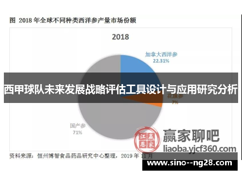 西甲球队未来发展战略评估工具设计与应用研究分析