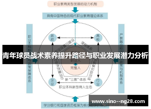 青年球员战术素养提升路径与职业发展潜力分析