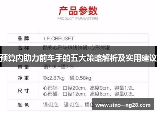 预算内助力前车手的五大策略解析及实用建议