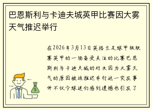 巴恩斯利与卡迪夫城英甲比赛因大雾天气推迟举行